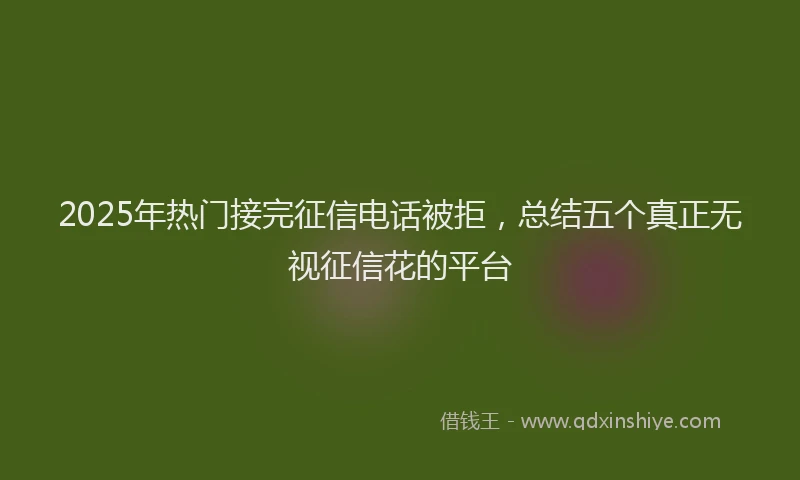 2025年热门接完征信电话被拒，总结五个真正无视征信花的平台