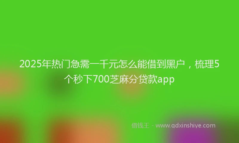 2025年热门急需一千元怎么能借到黑户，梳理5个秒下700芝麻分贷款app