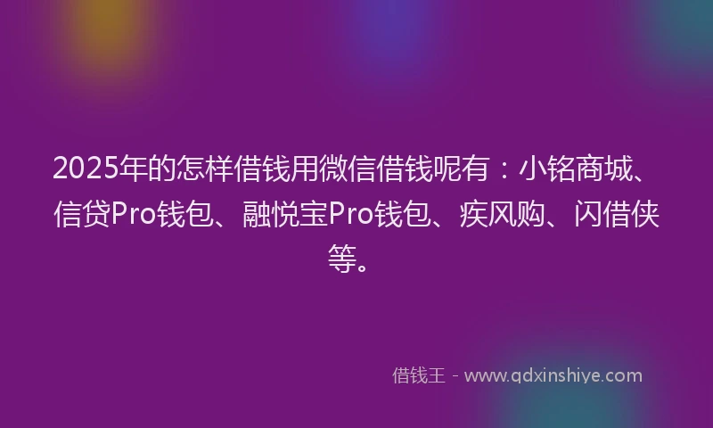 2025年的怎样借钱用微信借钱呢有：小铭商城、信贷Pro钱包、融悦宝Pro钱包、疾风购、闪借侠等。