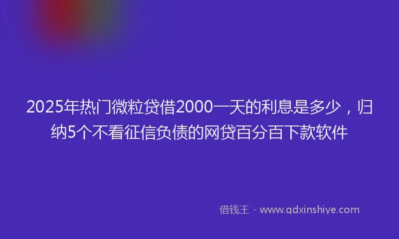 2025年热门微粒贷借2000一天的利息是多少，归纳5个不看征信负债的网贷百分百下款软件