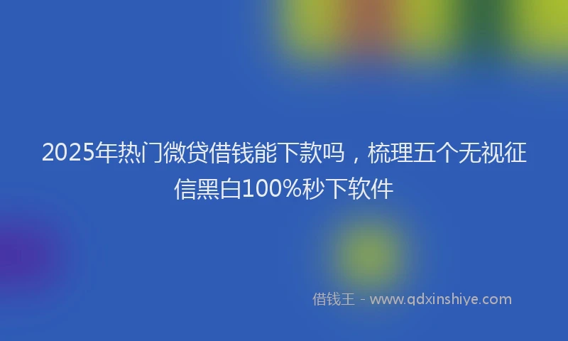 2025年热门微贷借钱能下款吗，梳理五个无视征信黑白100%秒下软件