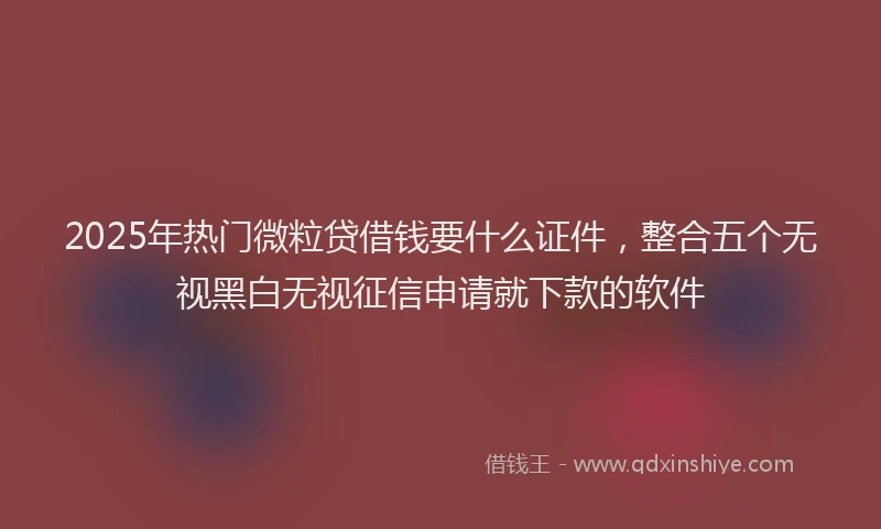 2025年热门微粒贷借钱要什么证件，整合五个无视黑白无视征信申请就下款的软件