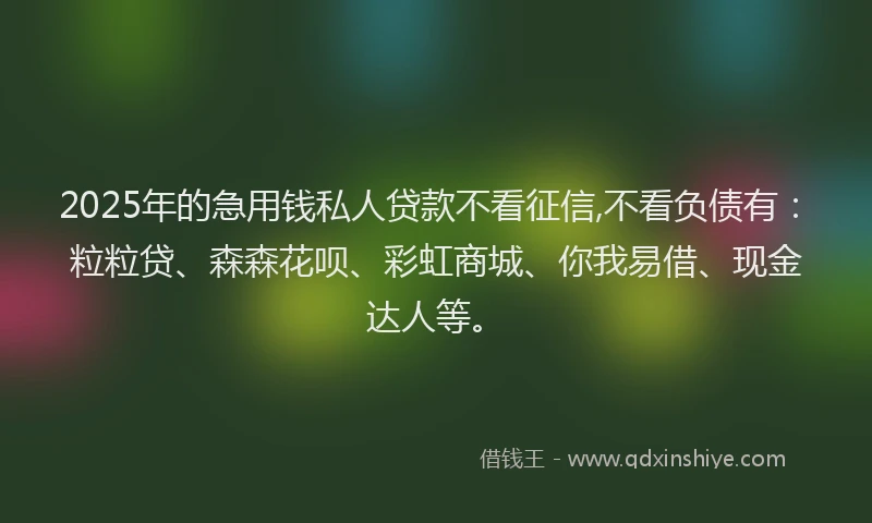 2025年的急用钱私人贷款不看征信,不看负债有：粒粒贷、森森花呗、彩虹商城、你我易借、现金达人等。