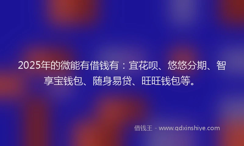 2025年的微能有借钱有：宜花呗、悠悠分期、智享宝钱包、随身易贷、旺旺钱包等。