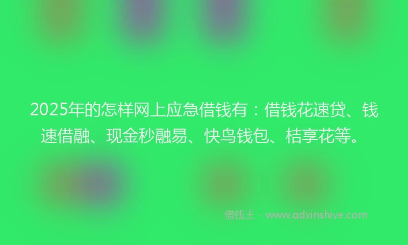 2025年的怎样网上应急借钱有：借钱花速贷、钱速借融、现金秒融易、快鸟钱包、桔享花等。