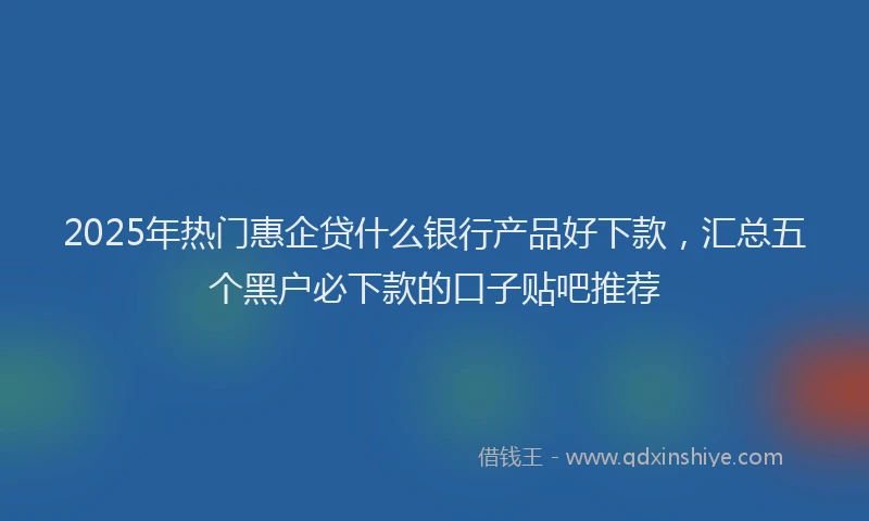 2025年热门惠企贷什么银行产品好下款，汇总五个黑户必下款的口子贴吧推荐
