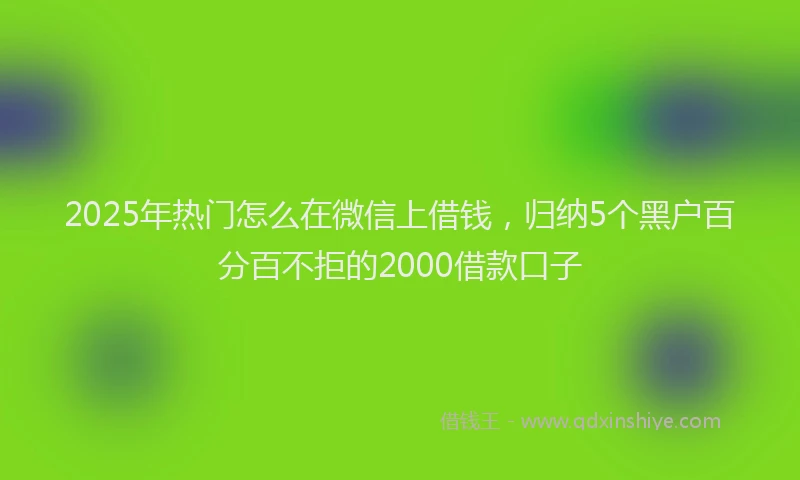 2025年热门怎么在微信上借钱，归纳5个黑户百分百不拒的2000借款口子