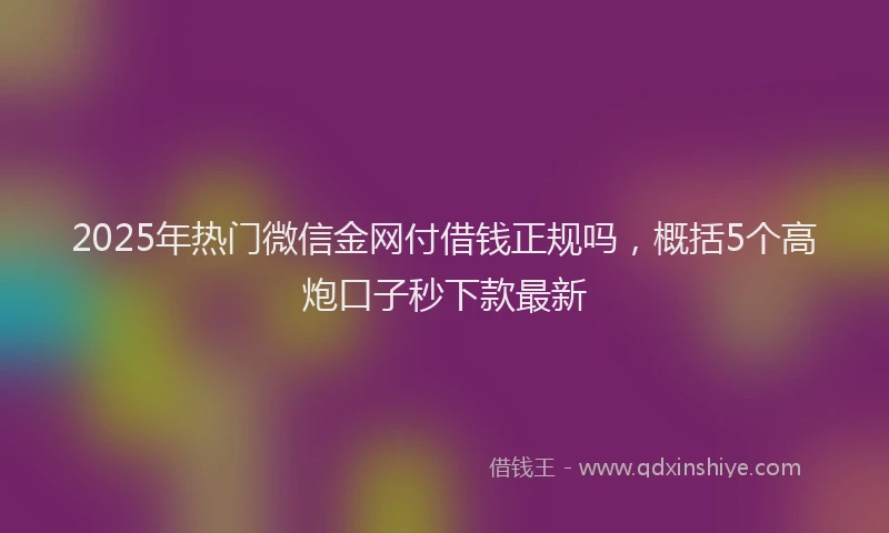 2025年热门微信金网付借钱正规吗，概括5个高炮口子秒下款最新