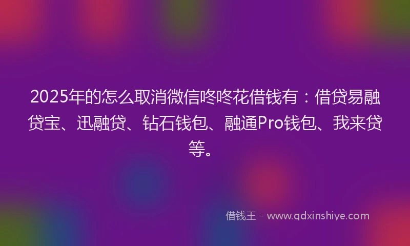 2025年的怎么取消微信咚咚花借钱有：借贷易融贷宝、迅融贷、钻石钱包、融通Pro钱包、我来贷等。