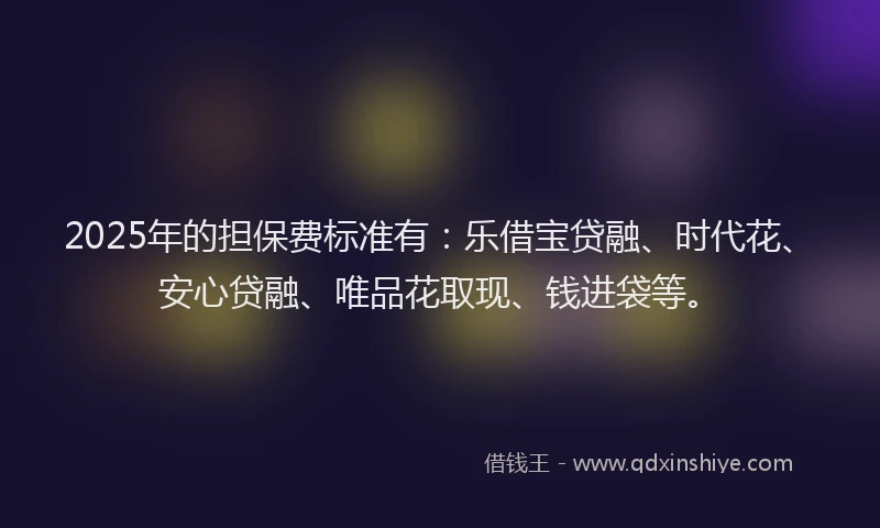 2025年的担保费标准有：乐借宝贷融、时代花、安心贷融、唯品花取现、钱进袋等。