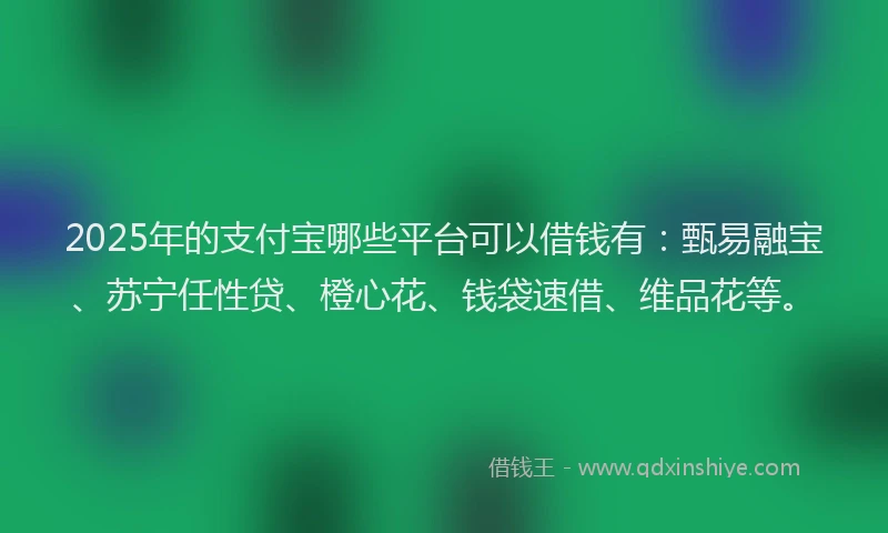 2025年的支付宝哪些平台可以借钱有：甄易融宝、苏宁任性贷、橙心花、钱袋速借、维品花等。