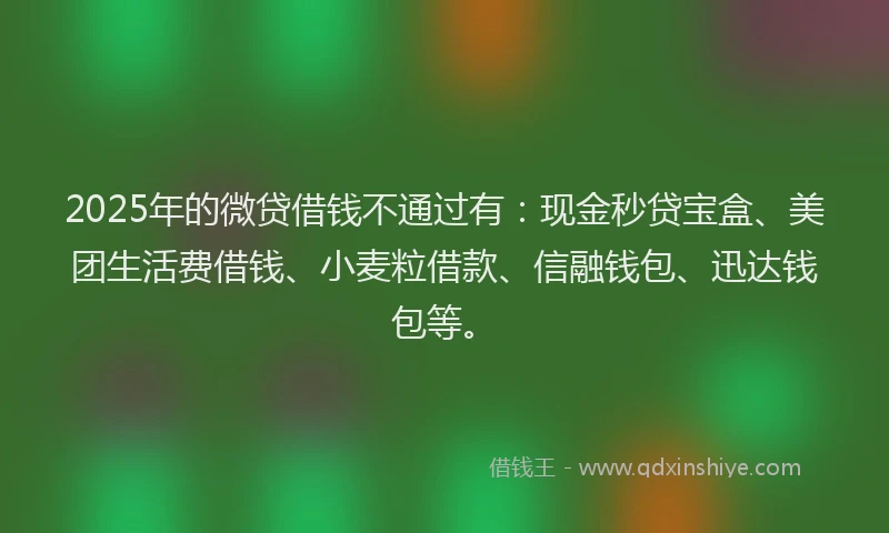 2025年的微贷借钱不通过有：现金秒贷宝盒、美团生活费借钱、小麦粒借款、信融钱包、迅达钱包等。