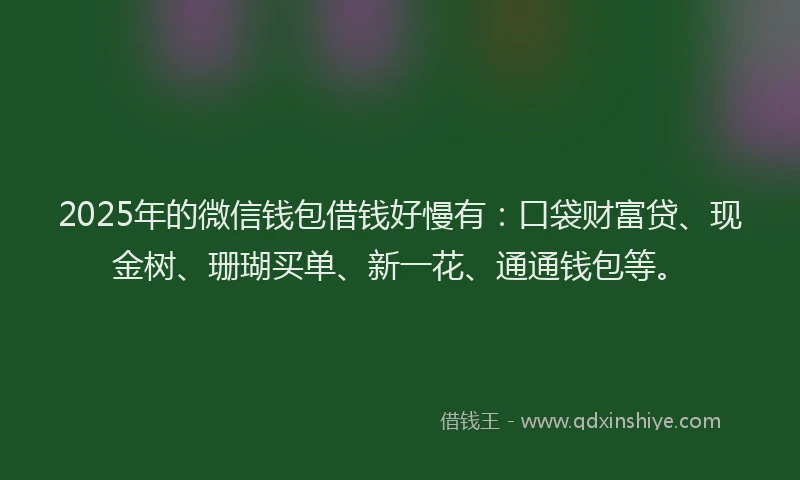 2025年的微信钱包借钱好慢有：口袋财富贷、现金树、珊瑚买单、新一花、通通钱包等。