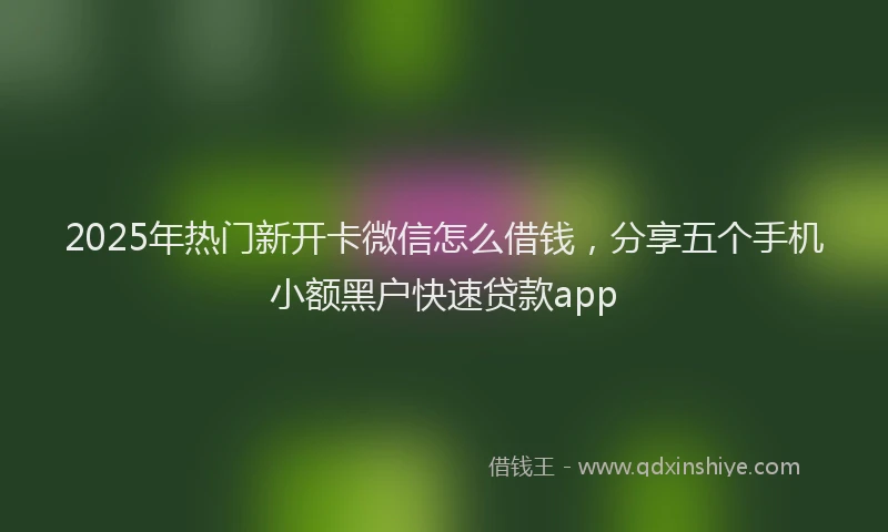 2025年热门新开卡微信怎么借钱，分享五个手机小额黑户快速贷款app