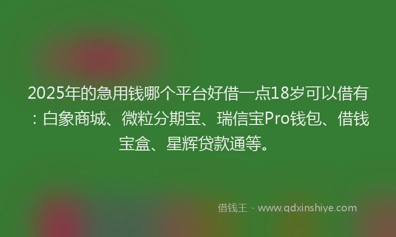 2025年的急用钱哪个平台好借一点18岁可以借有：白象商城、微粒分期宝、瑞信宝Pro钱包、借钱宝盒、星辉贷款通等。