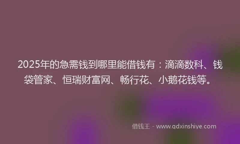2025年的急需钱到哪里能借钱有：滴滴数科、钱袋管家、恒瑞财富网、畅行花、小鹅花钱等。