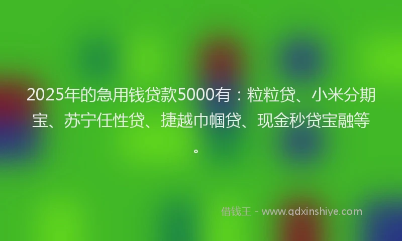 2025年的急用钱贷款5000有：粒粒贷、小米分期宝、苏宁任性贷、捷越巾帼贷、现金秒贷宝融等。