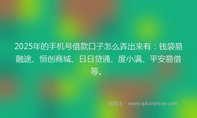 2025年的手机号借款口子怎么弄出来有：钱袋易融途、恒创商城、日日贷通、度小满、平安易借等。