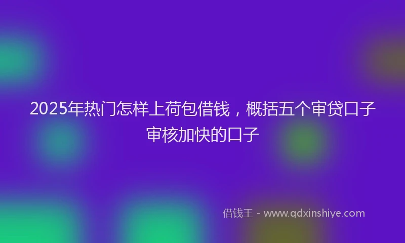2025年热门怎样上荷包借钱，概括五个审贷口子审核加快的口子