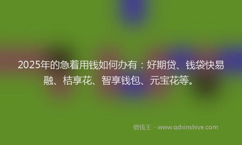 2025年的急着用钱如何办有：好期贷、钱袋快易融、桔享花、智享钱包、元宝花等。