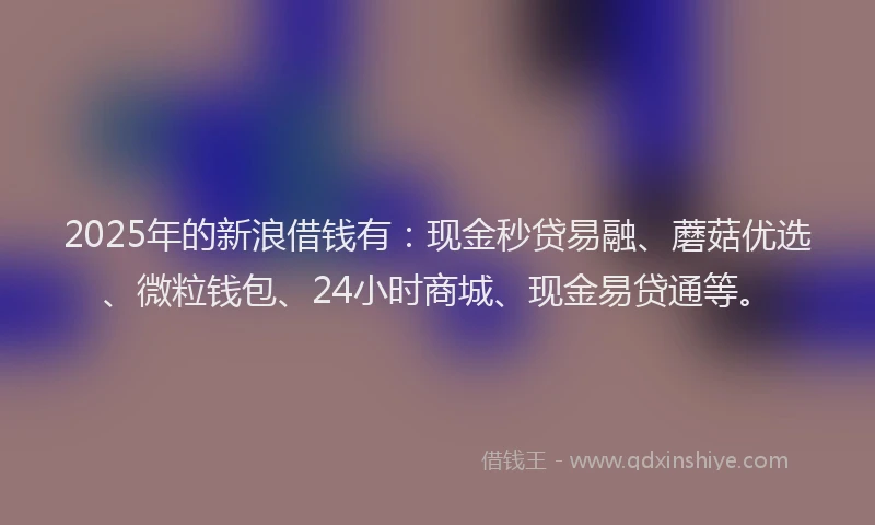 2025年的新浪借钱有：现金秒贷易融、蘑菇优选、微粒钱包、24小时商城、现金易贷通等。