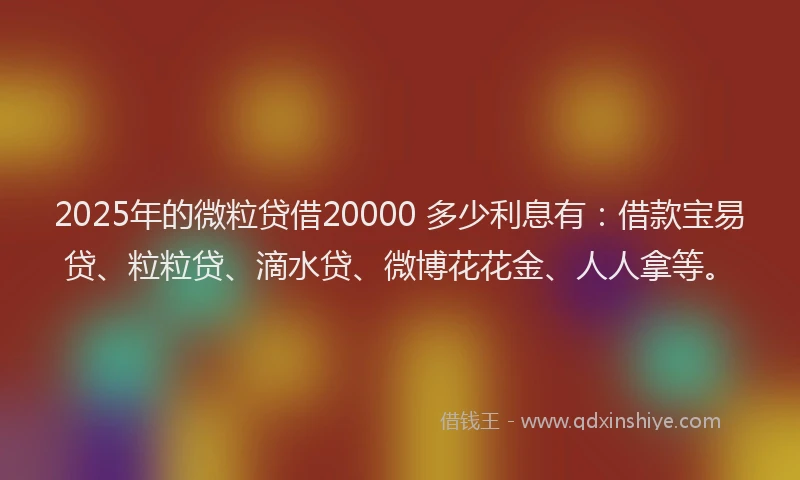 2025年的微粒贷借20000 多少利息有：借款宝易贷、粒粒贷、滴水贷、微博花花金、人人拿等。