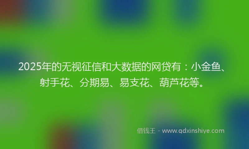 2025年的无视征信和大数据的网贷有：小金鱼、射手花、分期易、易支花、葫芦花等。