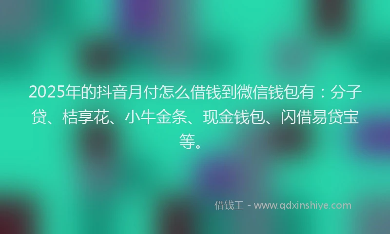 2025年的抖音月付怎么借钱到微信钱包有：分子贷、桔享花、小牛金条、现金钱包、闪借易贷宝等。