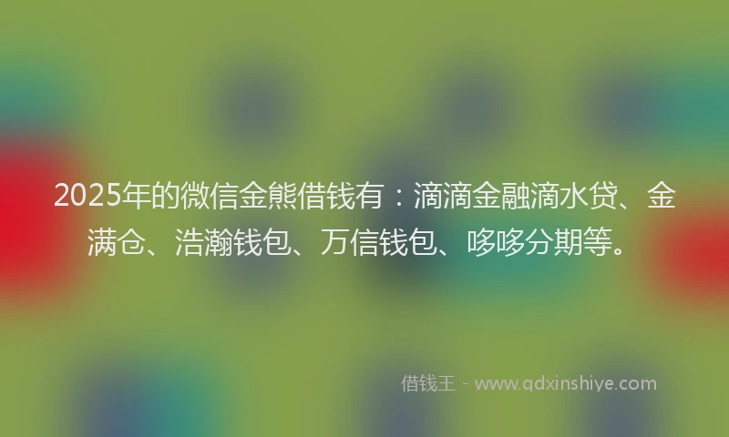 2025年的微信金熊借钱有：滴滴金融滴水贷、金满仓、浩瀚钱包、万信钱包、哆哆分期等。