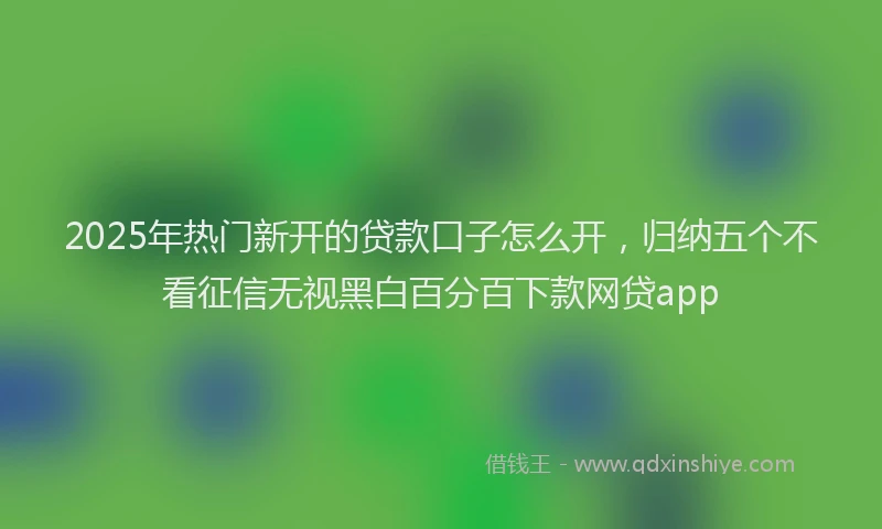 2025年热门新开的贷款口子怎么开，归纳五个不看征信无视黑白百分百下款网贷app