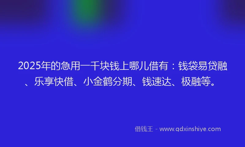 2025年的急用一千块钱上哪儿借有：钱袋易贷融、乐享快借、小金鹤分期、钱速达、极融等。