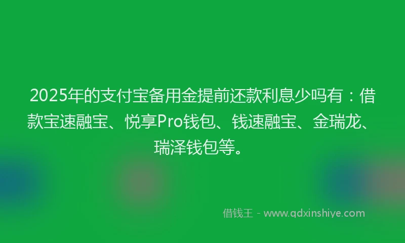 2025年的支付宝备用金提前还款利息少吗有：借款宝速融宝、悦享Pro钱包、钱速融宝、金瑞龙、瑞泽钱包等。