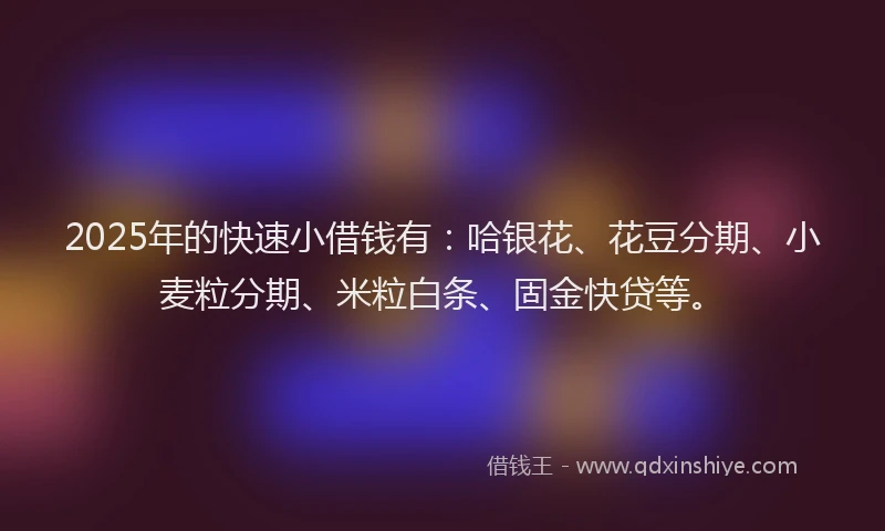 2025年的快速小借钱有：哈银花、花豆分期、小麦粒分期、米粒白条、固金快贷等。