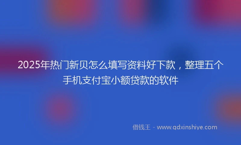 2025年热门新贝怎么填写资料好下款，整理五个手机支付宝小额贷款的软件