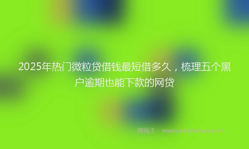 2025年热门微粒贷借钱最短借多久，梳理五个黑户逾期也能下款的网贷