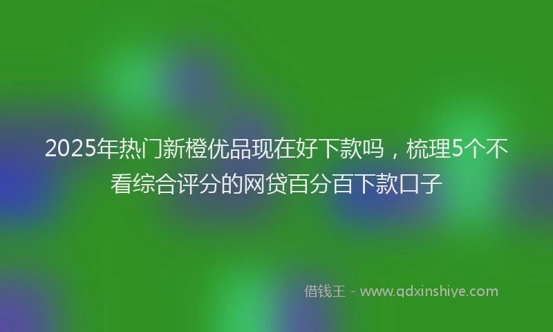 2025年热门新橙优品现在好下款吗，梳理5个不看综合评分的网贷百分百下款口子