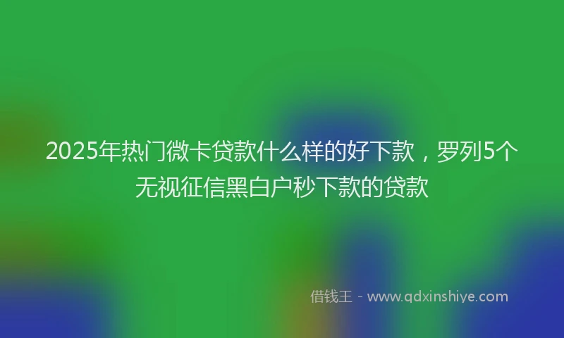 2025年热门微卡贷款什么样的好下款，罗列5个无视征信黑白户秒下款的贷款