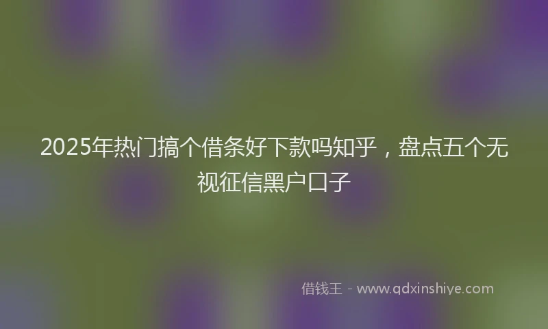 2025年热门搞个借条好下款吗知乎，盘点五个无视征信黑户口子