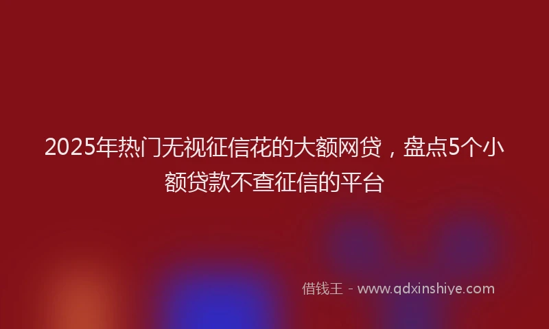 2025年热门无视征信花的大额网贷，盘点5个小额贷款不查征信的平台