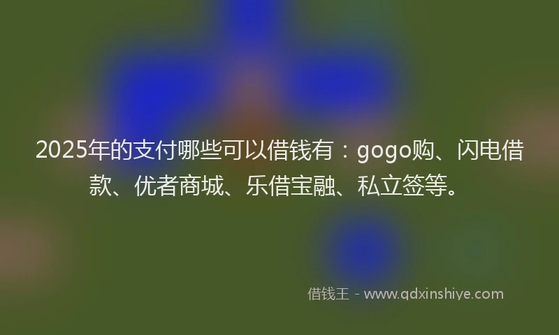 2025年的支付哪些可以借钱有：gogo购、闪电借款、优者商城、乐借宝融、私立签等。