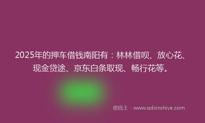 2025年的押车借钱南阳有：林林借呗、放心花、现金贷途、京东白条取现、畅行花等。