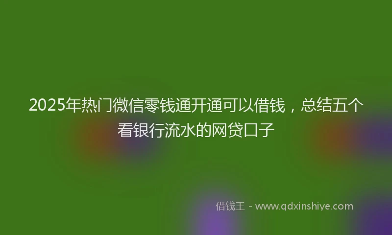 2025年热门微信零钱通开通可以借钱，总结五个看银行流水的网贷口子