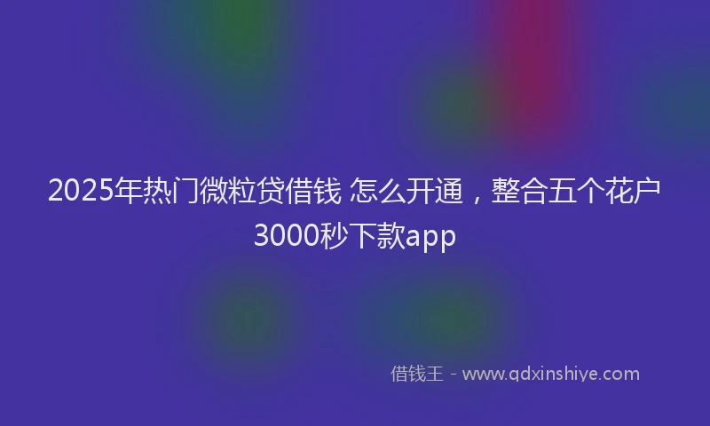 2025年热门微粒贷借钱 怎么开通，整合五个花户3000秒下款app