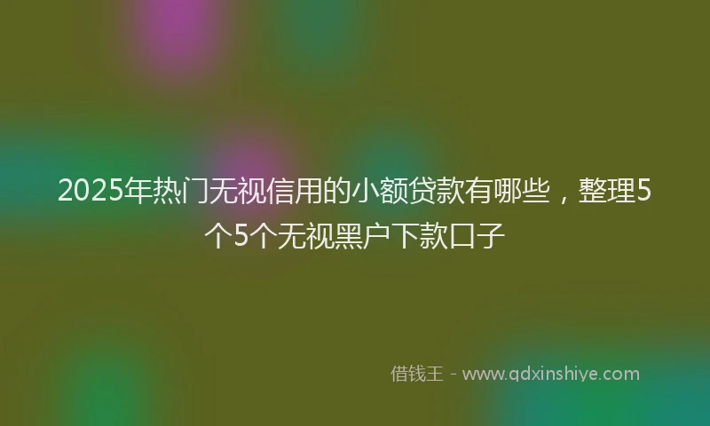 2025年热门无视信用的小额贷款有哪些，整理5个5个无视黑户下款口子