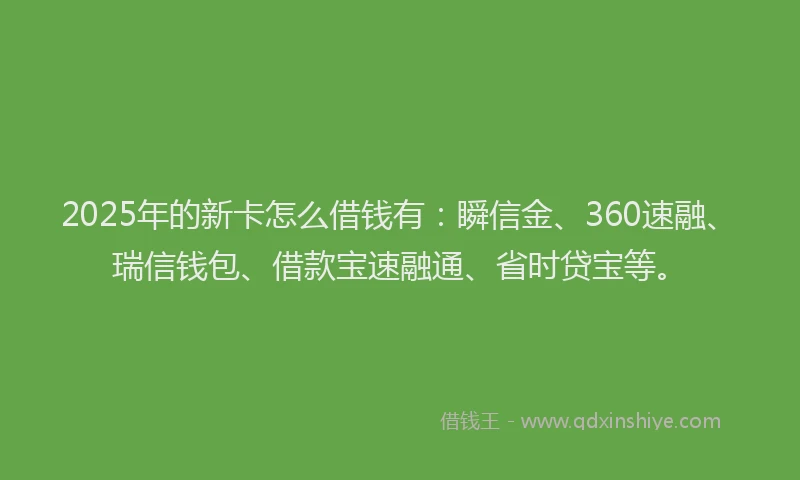 2025年的新卡怎么借钱有：瞬信金、360速融、瑞信钱包、借款宝速融通、省时贷宝等。