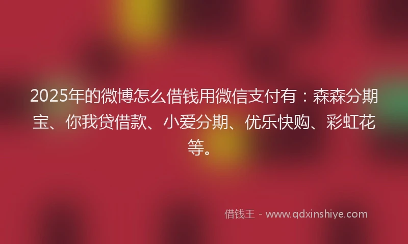 2025年的微博怎么借钱用微信支付有：森森分期宝、你我贷借款、小爱分期、优乐快购、彩虹花等。