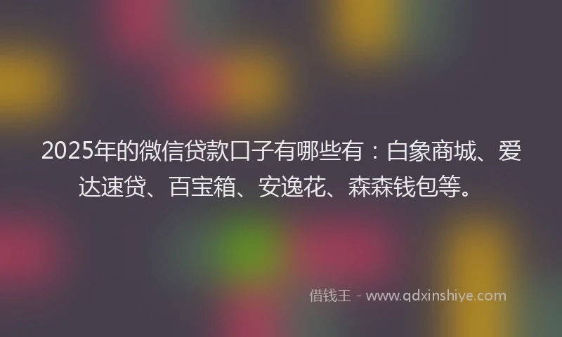 2025年的微信贷款口子有哪些有：白象商城、爱达速贷、百宝箱、安逸花、森森钱包等。