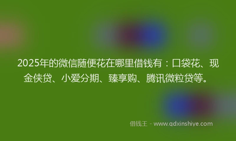 2025年的微信随便花在哪里借钱有：口袋花、现金侠贷、小爱分期、臻享购、腾讯微粒贷等。