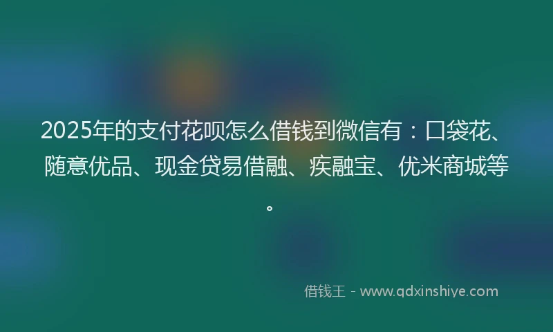2025年的支付花呗怎么借钱到微信有：口袋花、随意优品、现金贷易借融、疾融宝、优米商城等。