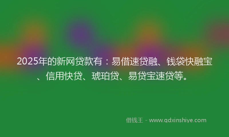 2025年的新网贷款有：易借速贷融、钱袋快融宝、信用快贷、琥珀贷、易贷宝速贷等。